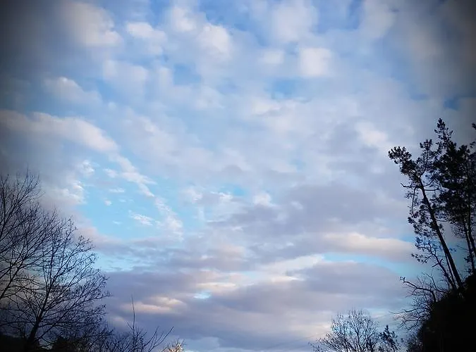 Azabache Susierra Onís